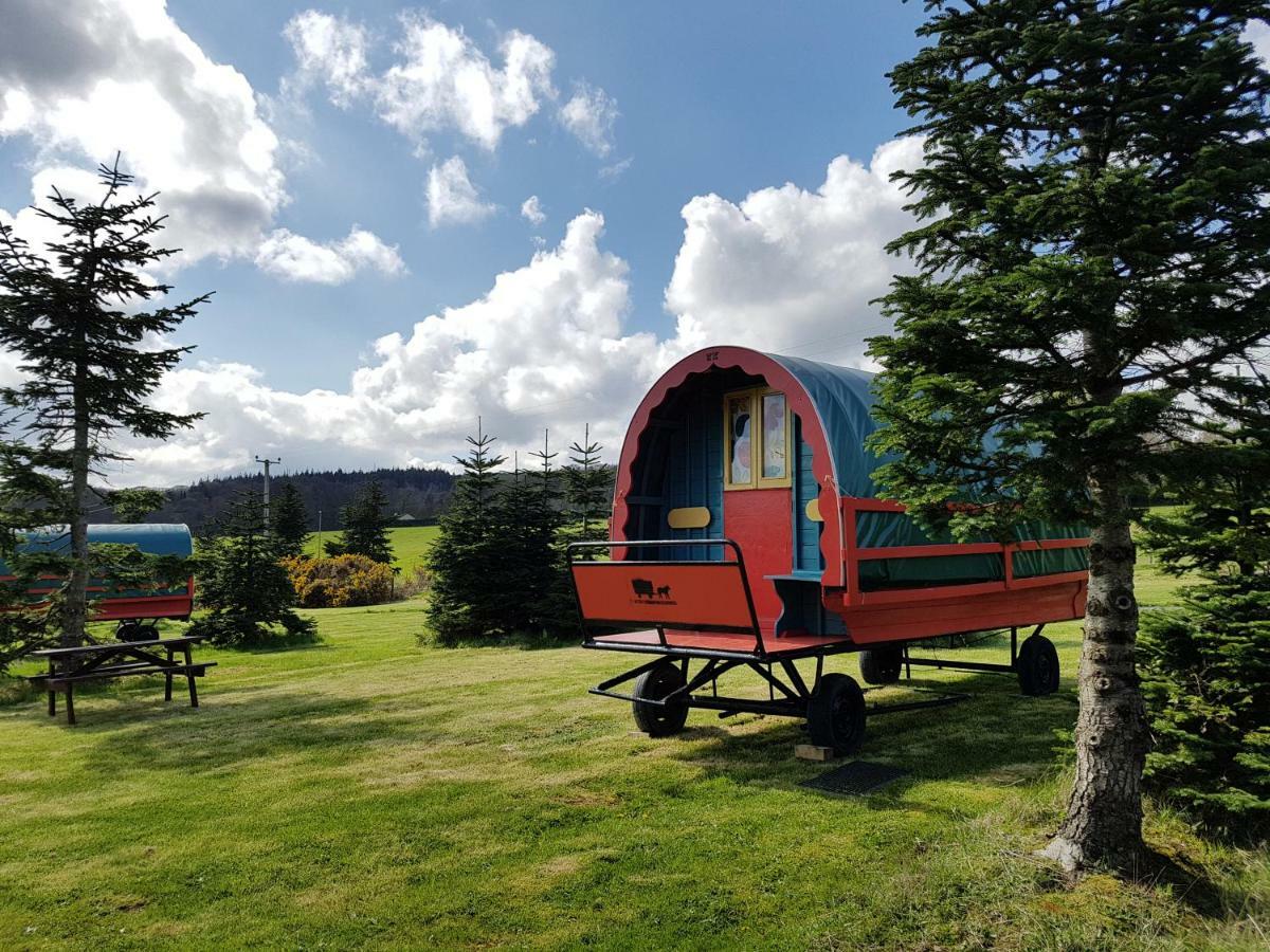 Clissmann Horse Caravans Glamping Ратдрам Экстерьер фото