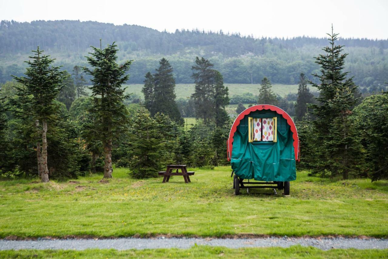 Clissmann Horse Caravans Glamping Ратдрам Экстерьер фото